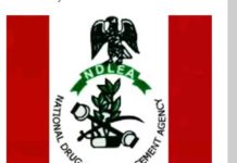 Ndlea Arrests 67 Persons For Drug Trafficking In Edo