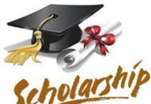 Nigerian Agip Oil Company Limited (NAOC) Scholarship for Undergraduates 2016/2017