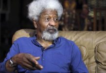 Soyinka cautions army on Operation Python Dance