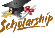 Guinness / NAPTIN Graduate Skills Development Scholarship 2017/2018