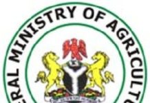 Federal Ministry of Agriculture and Rural Development Recruitment 2017