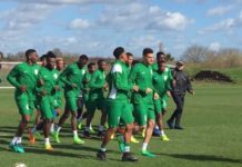 NFF to hire foreign technical adviser for Eagles