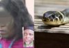 Jamb strange snake: Clark, Philomina Chieshe confesses, reveals who collected N36m