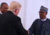 Breaking: Buhari Leaves For USA Tomorrow To See Trump