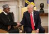 Trump Misfired In His Remarks About Killing Of Nigerian Christians – MURIC