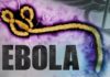 Ebola: FG Orders Surveillance At Airport, Land Borders