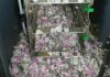 Rats invade ATM, tear money to shreds