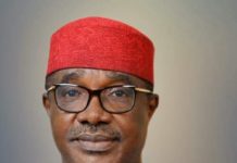 Wike-aligned PDP bloc appoints Ohuabunwa to head BoT