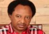 APC NWC Upturns Shehu Sani’s Suspension