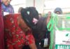 Photos : Jubilation in Umuahia as Senator Theodore Orji Wins Abia Central PDP Ticket