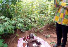 40 People Confirmed Dead as Fire Raze NNPC Depot