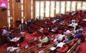 Senate Tells Fani-Kayode, Dambazau to ‘Take a Bow and Go’ at Ambassadorial Screening