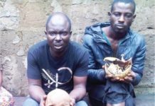 5 Suspected ritual killers nabbed with 11 human skulls