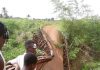 40Year Old Bridge Collapse in Ebonyi