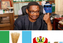 Itse Sagay: The Despicable Dance of A Compromised Academic… By Simeon Nwakaudu