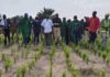 Lagos Tasks Farmers On Food Security Through Appeals Project