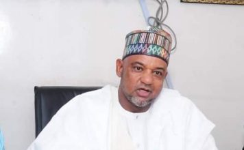 PDP chair warns against internal sabotage