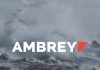 Partnership Between Ambrey International And Ambrey Nigeria On The Verge Of Collapse