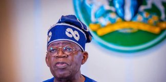 Nigeria won’t bow to foreign pressure – Tinubu vows